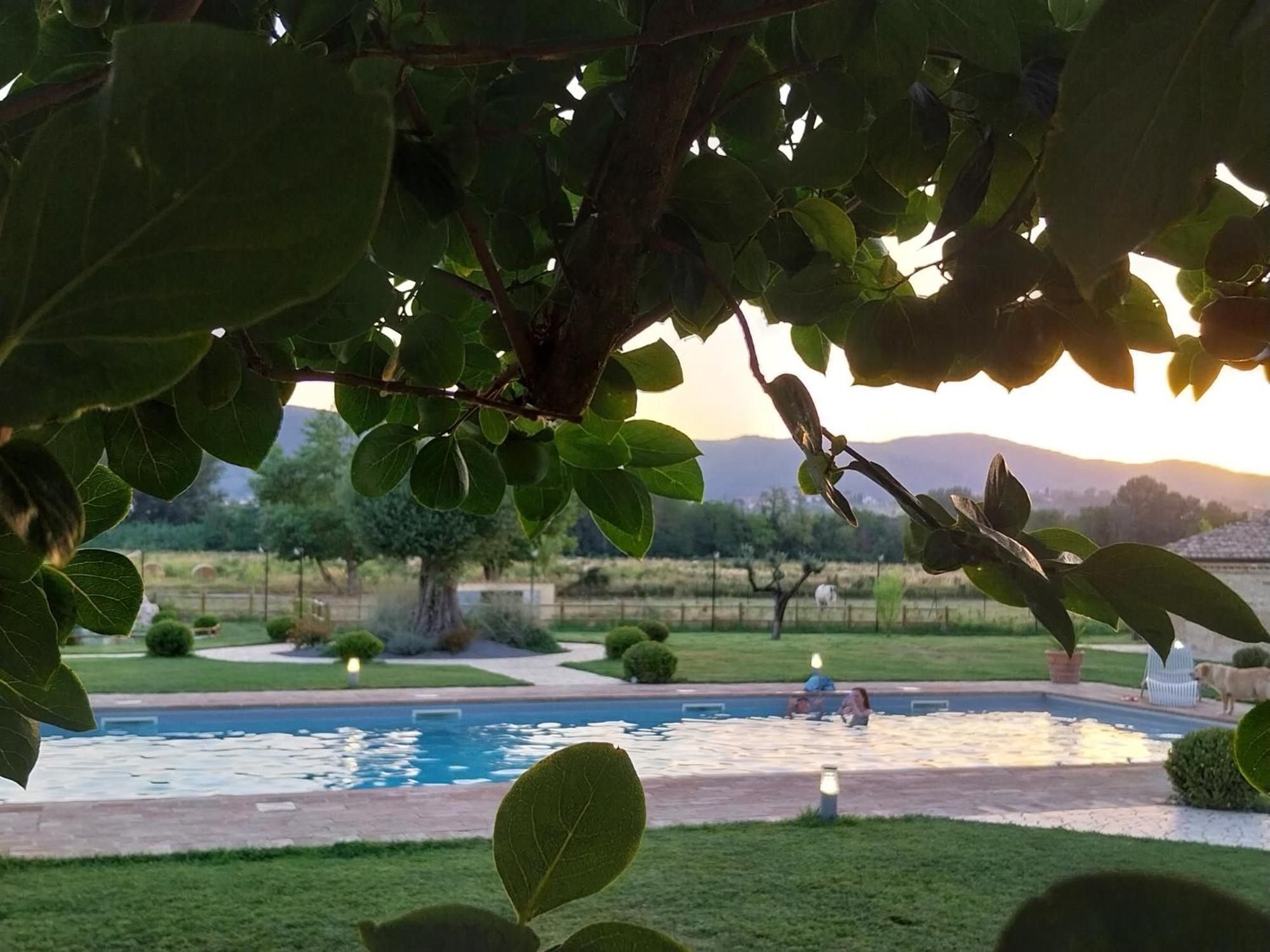 Agriturismo Tenuta Filippi Нарні Екстер'єр фото